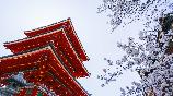 暑期【本州半自助】<本州大阪京都奈良東京富士急親子半自助六天游>